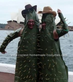 [disfraz%2520cactus%2520%25281%2529%255B2%255D.jpg]