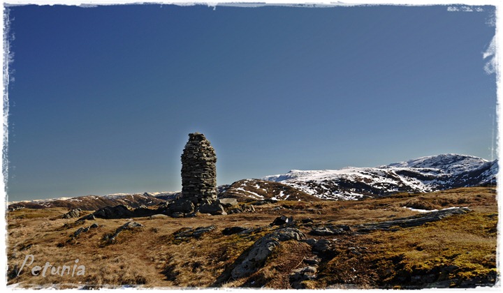 Livarden
