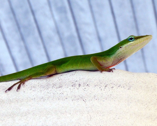 [P10103363.jpg]