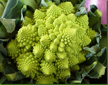 Brocolis Romanesco