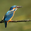 VE100155.JPG