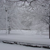 Nor'Easter