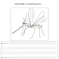 75.jpg