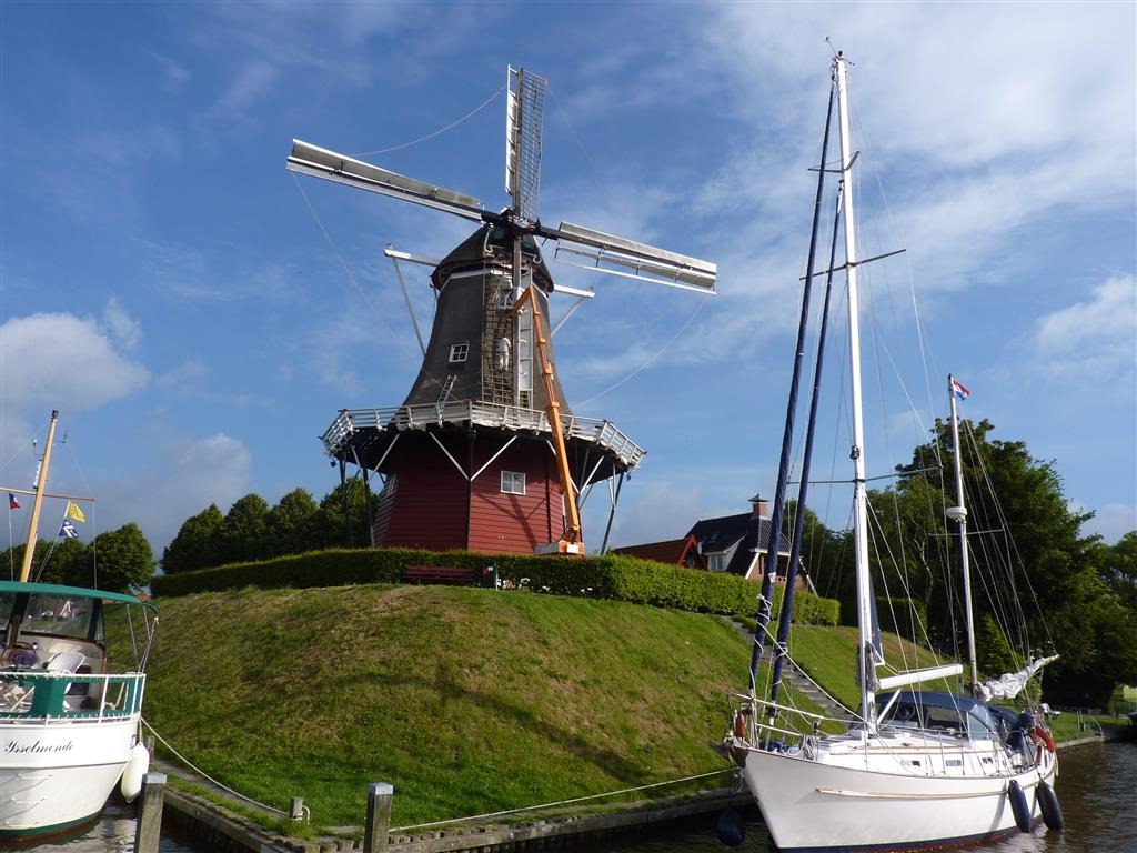 [P1030786-Medium3.jpg]