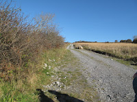 IMG_2552.JPG Photo
