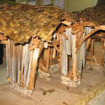 IMG_5424.JPG