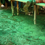 image_from_picasa