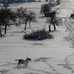 _MG_9536.jpg