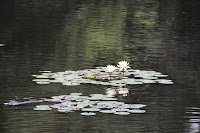 IMG_1048.JPG