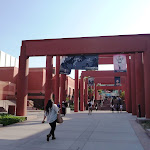 P1130846.JPG