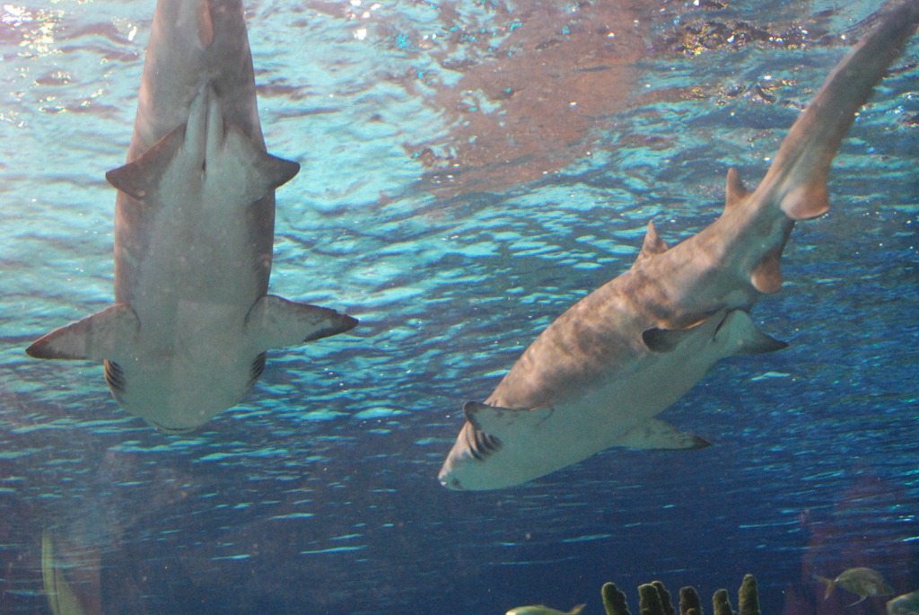 [DSC_6556%255B3%255D.jpg]