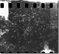 _MG_0628-Editar _MG_0628-Editar