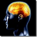 Atividade cerebral humana e o efeito placebo Atividade cerebral humana e o efeito placebo