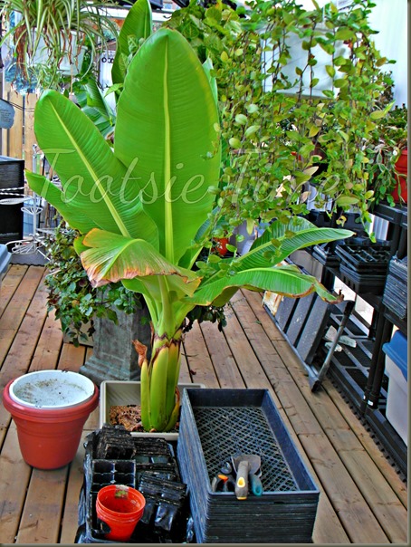 BeFunky_038.jpg BeFunky_038.jpg
