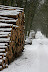 Winterhike: Fotos & Videos IMG 0734 Winterhike: Fotos & Videos