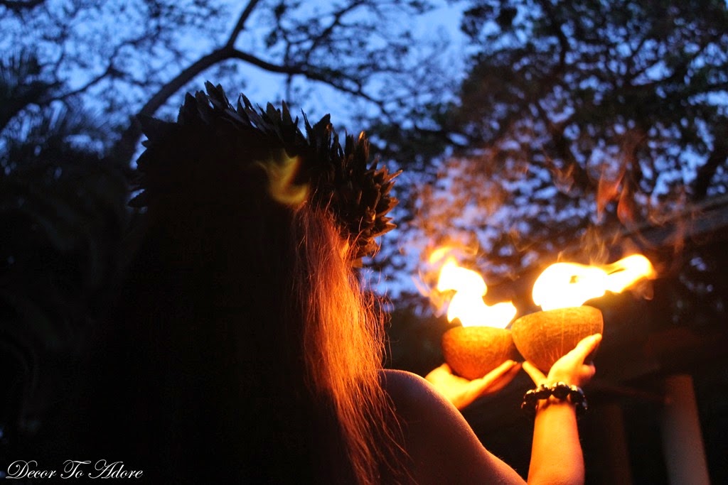 [Hawaii%2520060%255B8%255D.jpg]