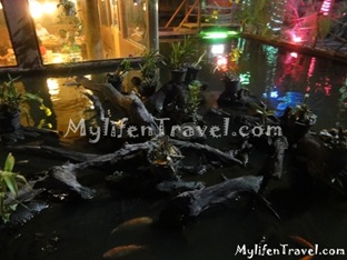 Mae Salong Restaurant 16 Mae Salong Restaurant 16