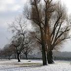 pb300143.jpg