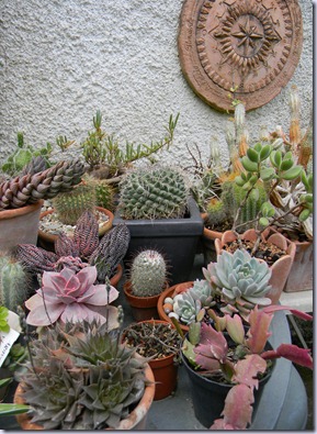 DSCN0014 DSCN0014