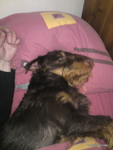 God natt God natt