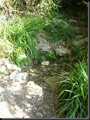 IMG_1221 IMG_1221