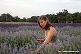 Lavandula Swiss/Italian Farm