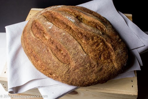 Naturally Sweet and Tender Sprouted KAMUT Flour Bread Naturally Sweet and Tender Sprouted KAMUT Flour Bread