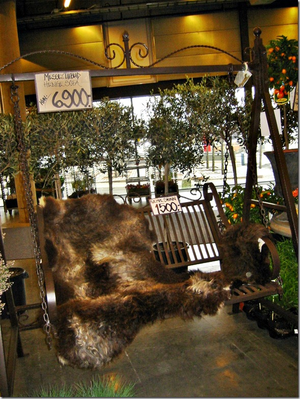 IMG_0014 IMG_0014