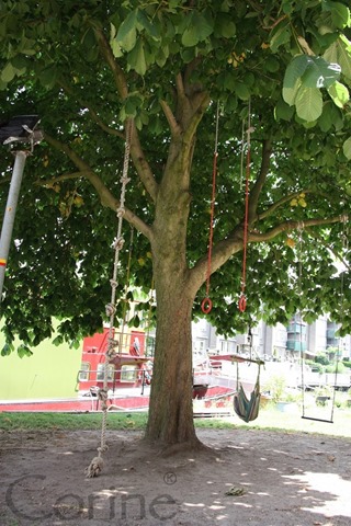schommelboom schommelboom
