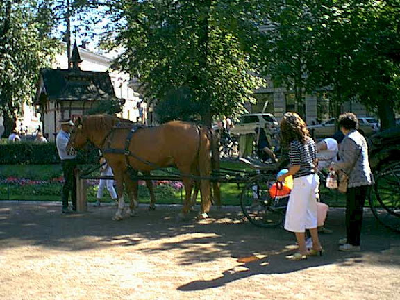 Horse cab in Esplanad park