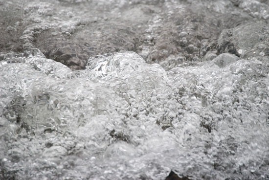 [DSC_3615%255B4%255D.jpg]