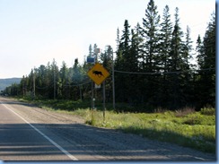 7839 Ontario Trans-Canada Hwy 17 moose crossing warning sign 7839 Ontario Trans-Canada Hwy 17 moose crossing warning sign