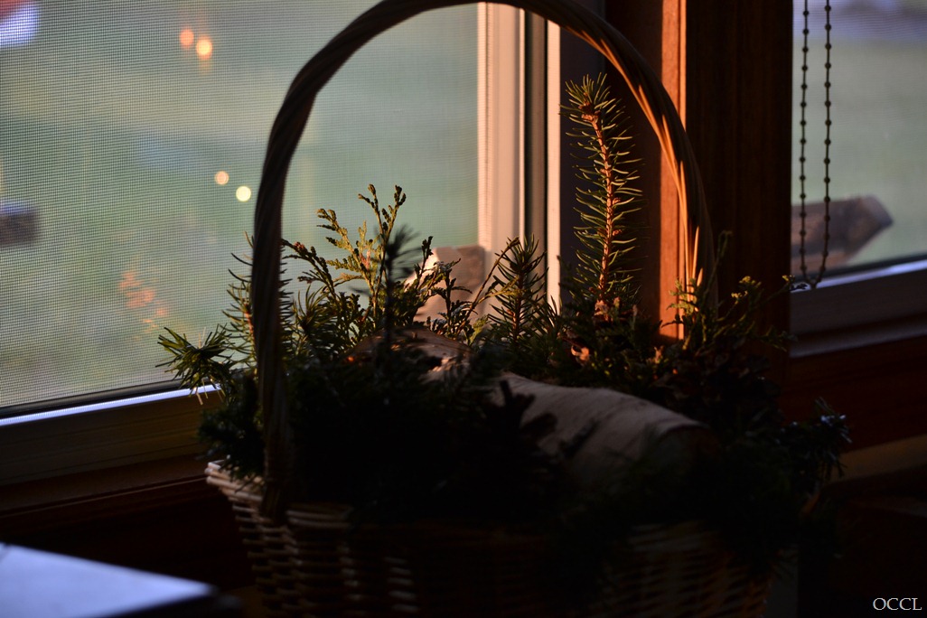 [DSC_6124%255B3%255D.jpg]