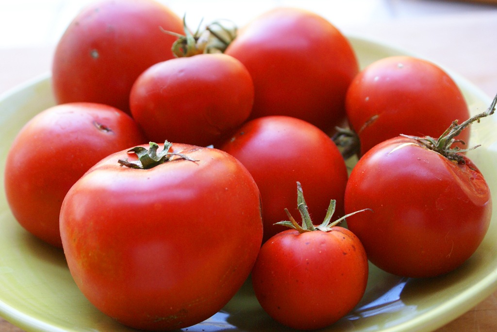 [lastharvest113%2520copy%255B5%255D.jpg]