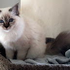 Luca 31.10.09-306.JPG