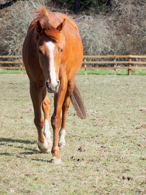 [7%2520May%252012%252005-05-2013%252009-33-24%25203024x4032%255B3%255D.jpg]