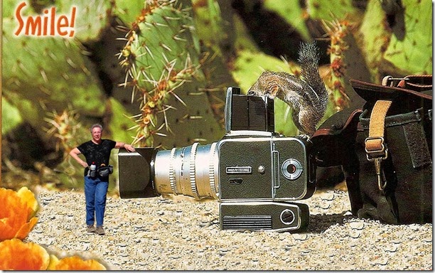 chipmunk PE test moving images without chipmunk final chipmunk PE test moving images without chipmunk final