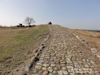 dsc06866.jpg