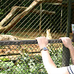 zoo 092.jpg