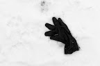 Fallen Apart.jpg