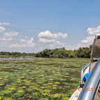 DSCN3036.JPG