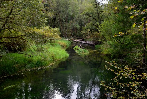 Delta Creek