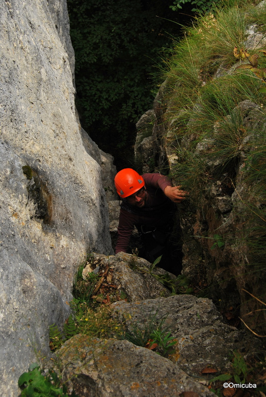 310.jpg 310.jpg