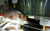 We got porgies, but look at that gigantic Opah!