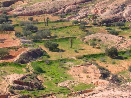 Modern agriculture in the Tunisian village of Demmer. The intrusion of development policies has caused the loss of traditional knowledge of desert agriculture. Habib Ayeb co-directed the documentary 'Green Mirages' with Nadia Kamel to show the effect of misguided development policies. Habib Ayeb