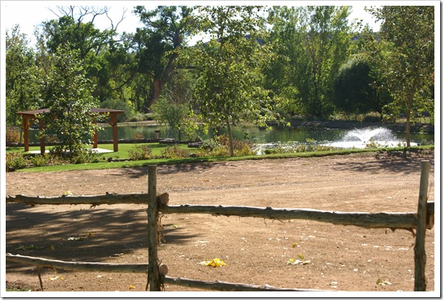 DSC06660