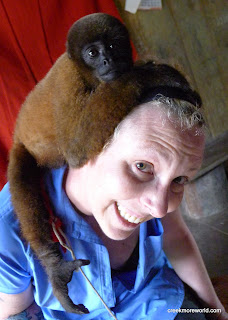Monkey See, Monkey do