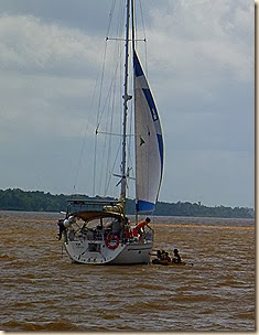 P1030318 P1030318