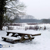 DSCF5607.jpg