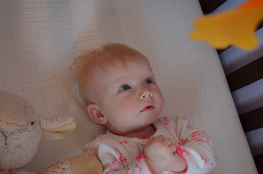 [DSC_0528%255B3%255D.jpg]